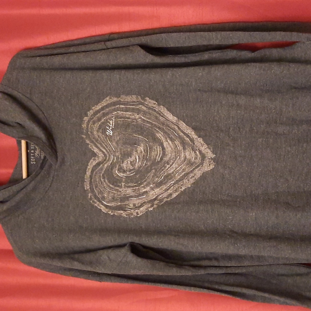 American Eagle gray lightweight hoodie